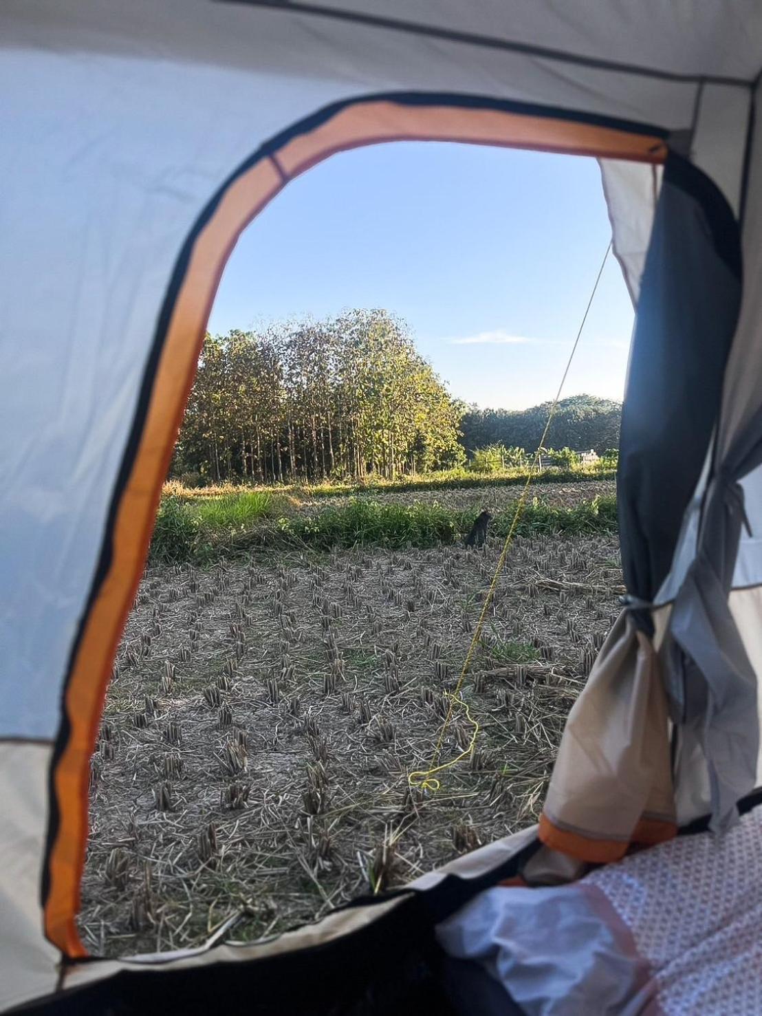 Camp View Mountain - Sell Experience By Paddy Fields Haven - Natures Nest Pai Exterior photo